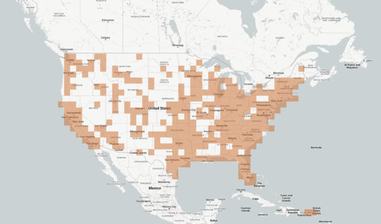 Graphic of United States